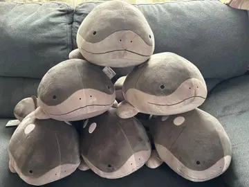 포켓몬 도오 메챠모후굿토 봉제 인형 6개