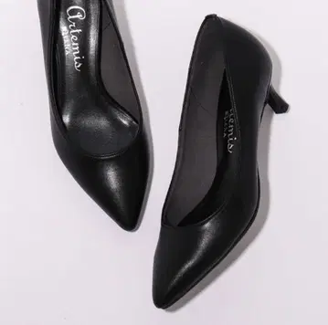 아르테미스 by 다이애나 포인티드 펌프스