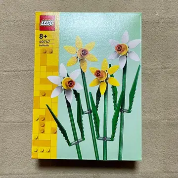 LEGO 40747 수선화 레고