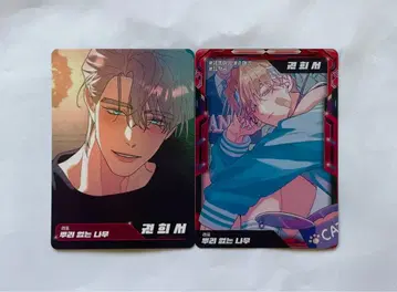 한국 BL LEZHIN 뿌리 없는 나무 트레이딩 카드