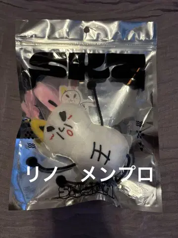 straykids 사우나 주르미 멘프로 리노 백참