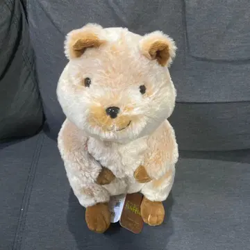 플러피즈 귀여운 베이지 봉제 인형 L 쿼카 BR 약 30cm