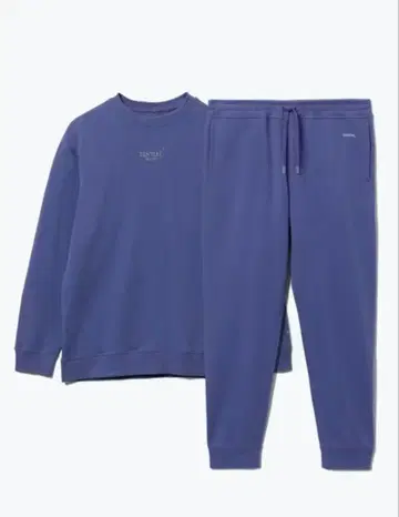 TENTAL 퍼플 맨투맨 세트