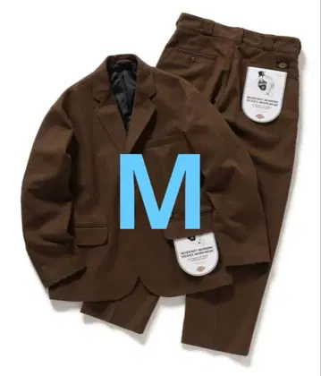 Dickies TRIPSTER SUIT 25FW 브라운 M