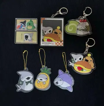 외출 아기상어 아크릴 키링 트레이딩 화이트 상어 카도카와