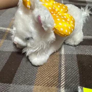 오샤레 캣 마리 봉제 인형 (리본 포함)