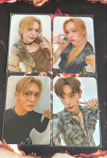 XLOV DAILYDUCK 트레이딩 카드 4장 세트