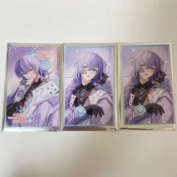 호시미치 쇼 폴라로이드풍 카드