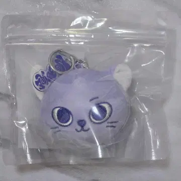 BOYNEXETDOOR 보네크도 테산 푸네크도 한테푼 키링