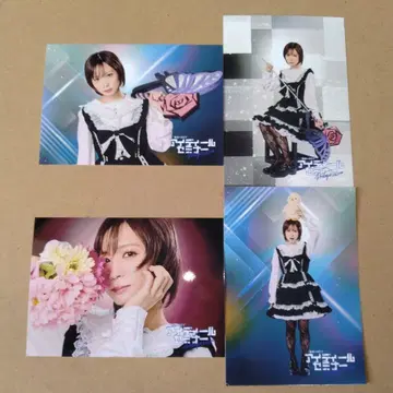 아이디얼 세미나 조자키 카렌 사진 2L판 4종 세트 모모코 구미 컴퍼니