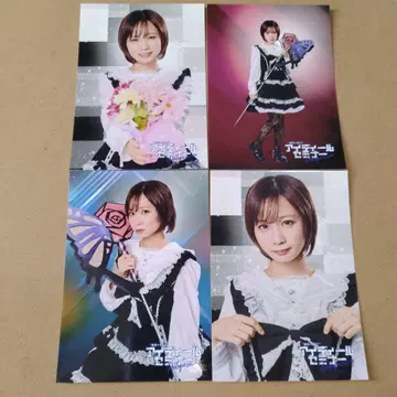 아이디얼 세미나 조자키 카렌 사진 3L판 4종 세트 모모코 구미 컴퍼니