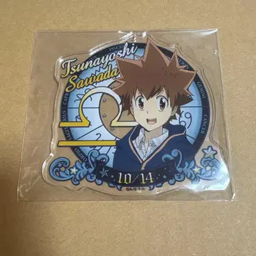 가정교사 히트맨 REBORN 사와다 츠나요시 아크링 키링 별자리 생일