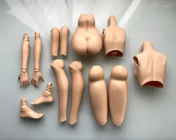 돌피드림 초기 바디 부품 세트