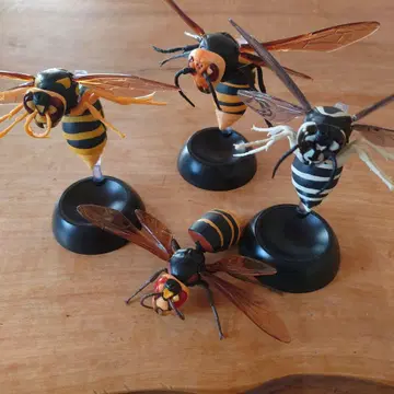 생물대도감 말벌 01/02 4종류