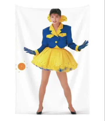 모리타카 치사토 태피스트리 벽걸이 커튼 하지메 상품 17살 b