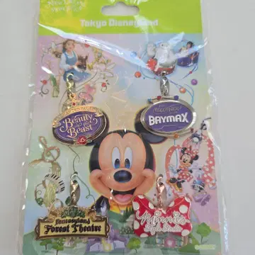 도쿄 디즈니랜드 캐릭터 키링 세트
