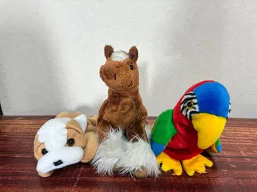 [ty] 불독, 포니, 앵무새 봉제 인형