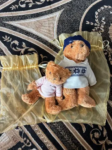 렉서스 베어 2종류 렉서스 봉제 인형