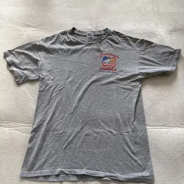 Celebrate AMERICA 티셔츠 그레이 빈티지 t
