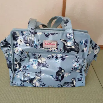 캐스 키드스턴 캐스 키드슨 백