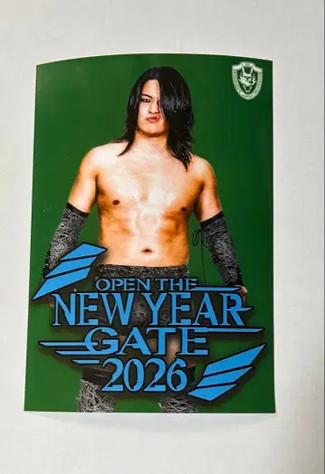 드래곤 게이트 로손 프린트 L판 호키