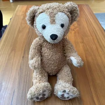 Disney Duffy S 사이즈