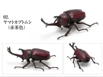 생물대도감 장수풍뎅이01 야마토장수풍뎅이 홍색 가챠 가샤폰