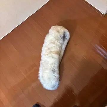 크림색 퍼 V자형 롱스톨