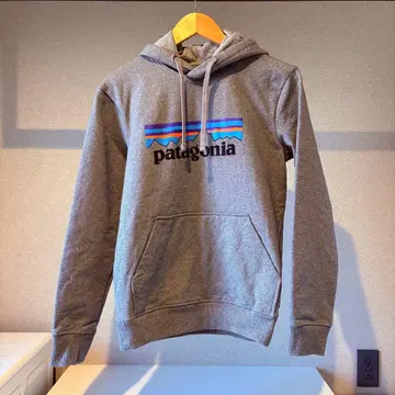 patagonia 그레이 후드 부착 후드티