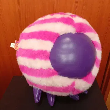 범고래 고양이 범고래 고양이의 손 봉제 인형 커다란 봉제 인형