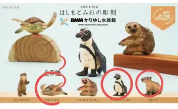 [하시모토 미오 조각] DMM 카리유시 수족관 한정판 가챠 3세트