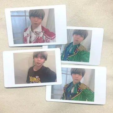 팬더드래곤 아즈 하피카 폴라로이드