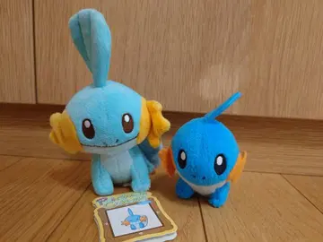 포켓몬 물짱이 봉제 인형