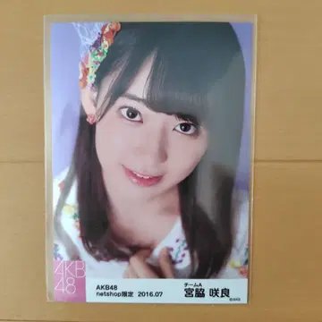 AKB48 미야와키 사쿠라 한정판 브로마이드