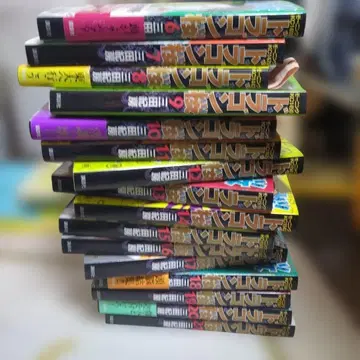 드래곤 사쿠라 6-21권 세트 드래곤 사쿠라 관련 도서 4점