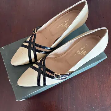 TANINO CRISCI 타니노 크리스치 펌프스 베이지 x 블랙