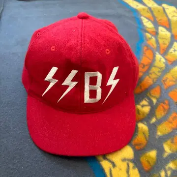 CHALLENGER SISSY BARS 레드캡