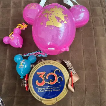 도쿄 디즈니 리조트 30주년 기념 굿즈 세트