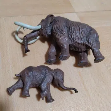 아니아 단종품 맘모스 부자