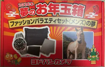 요도바시 카메라 꿈의 새해 복주머니 패션 버라이어티 세트 (남성용)의 꿈