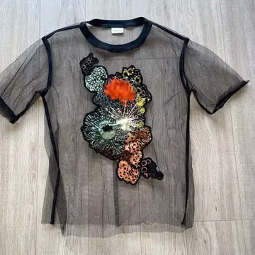 시스루 자수 반팔 상의