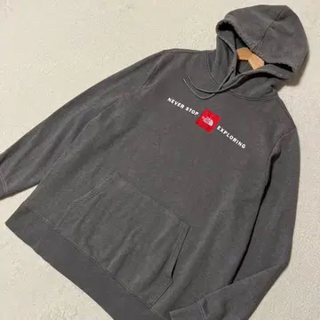 THE NORTH FACE 속기모 풀오버 후드티