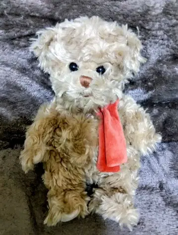 부코우스키 봉제 인형 베어 Clever Anton 새상품급 택 포함