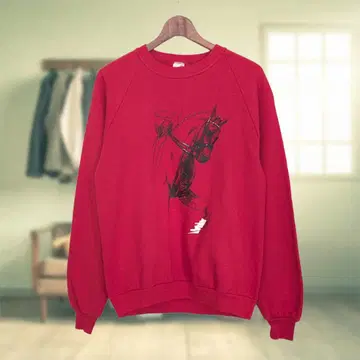 80s JERZEES 맨투맨 USA제 래글런 프린트 말