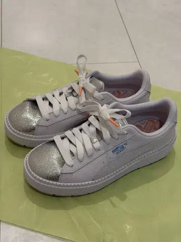 PUMA 플랫폼 바이오 해킹