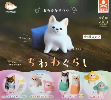 치와와 그라시 전 8종 컴플리트