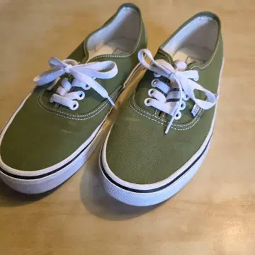 VANS 오센틱