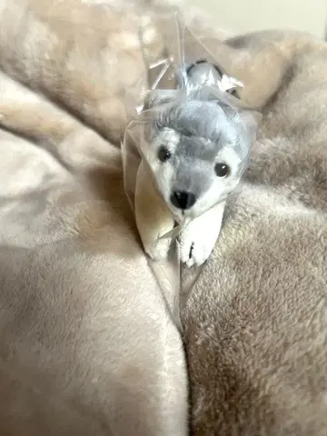 미츠미네 신사 늑대 마스코트 봉제 인형 키링 한정판