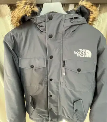 THE NORTH FACE 그레이 다운 자켓