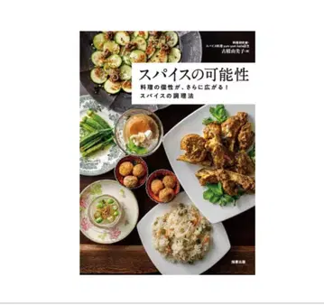 스파이스의 가능성 아리타 미치코 저